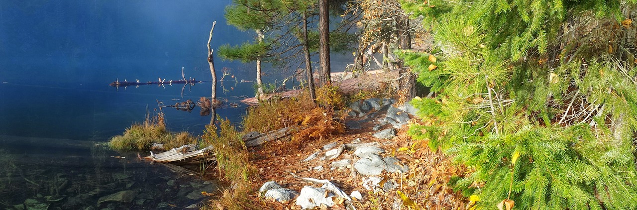 nature lake lake shore free photo