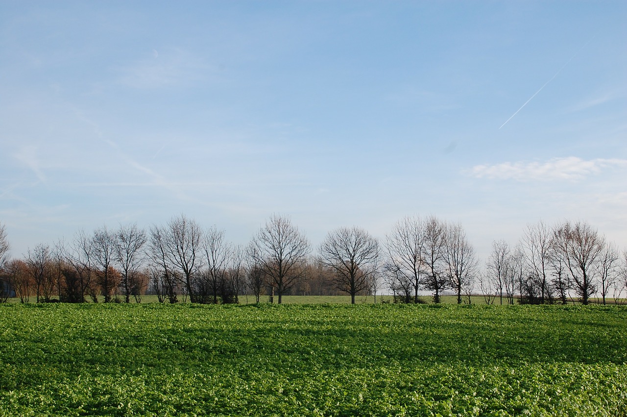 nature landscape field free photo