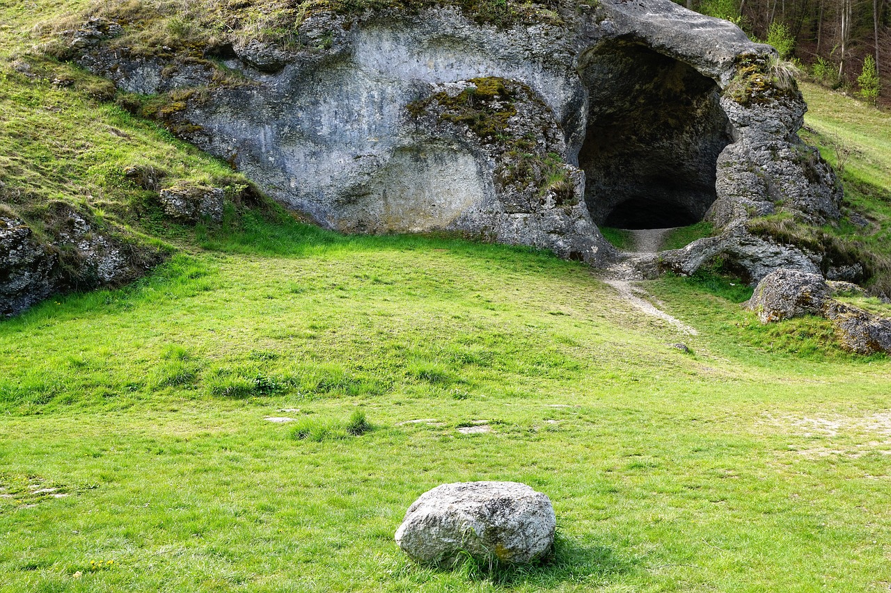 nature narrow germany free photo