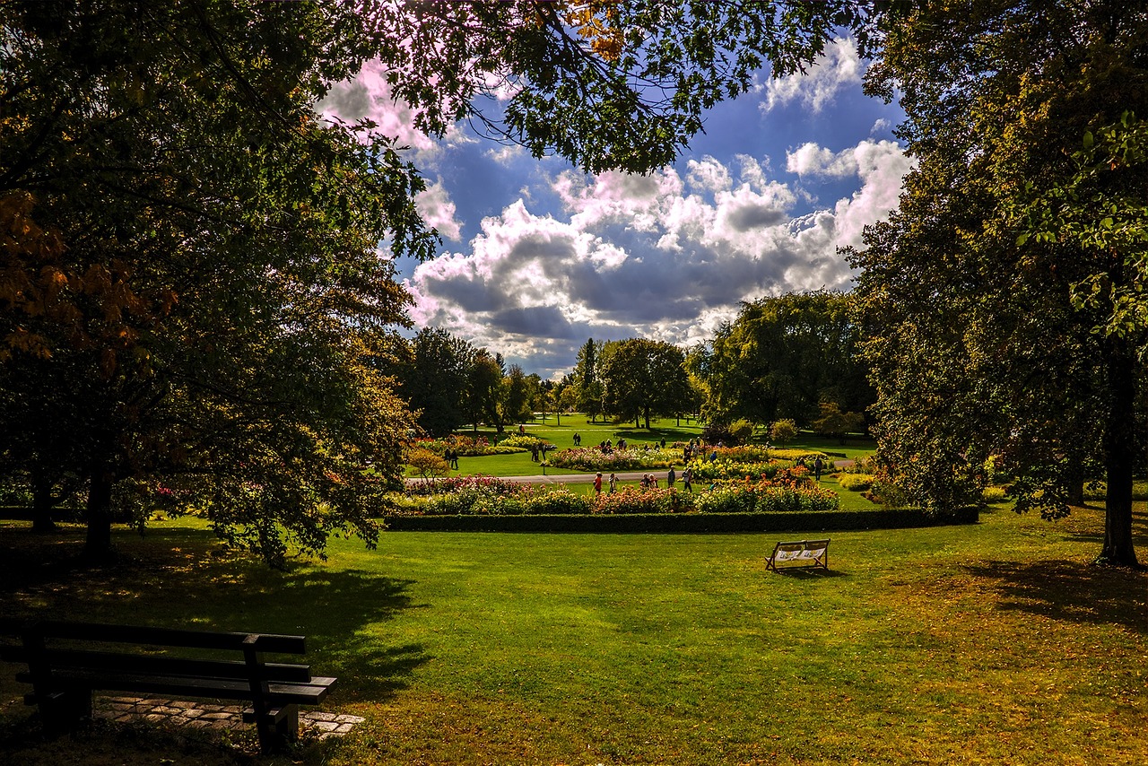 nature landscape meadow free photo