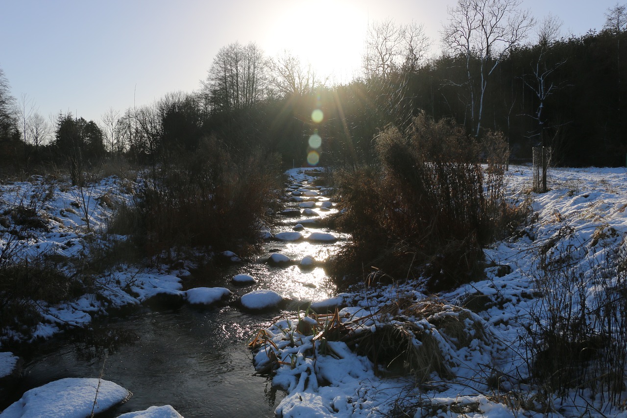 nature winter water free photo