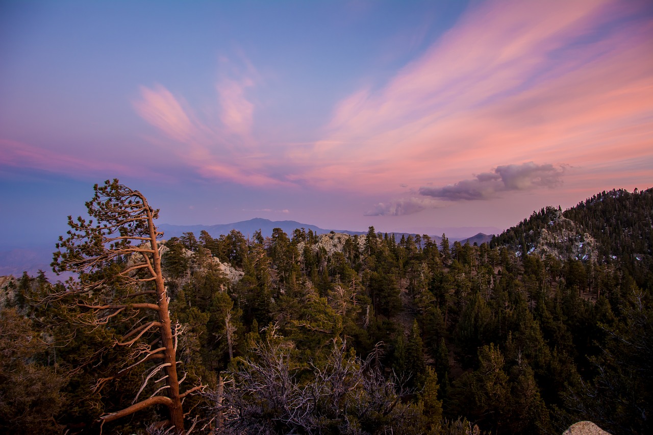 nature landscape sunset free photo