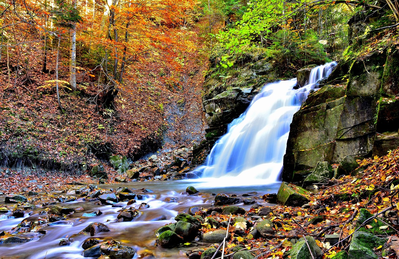 nature waterfall autumn free photo