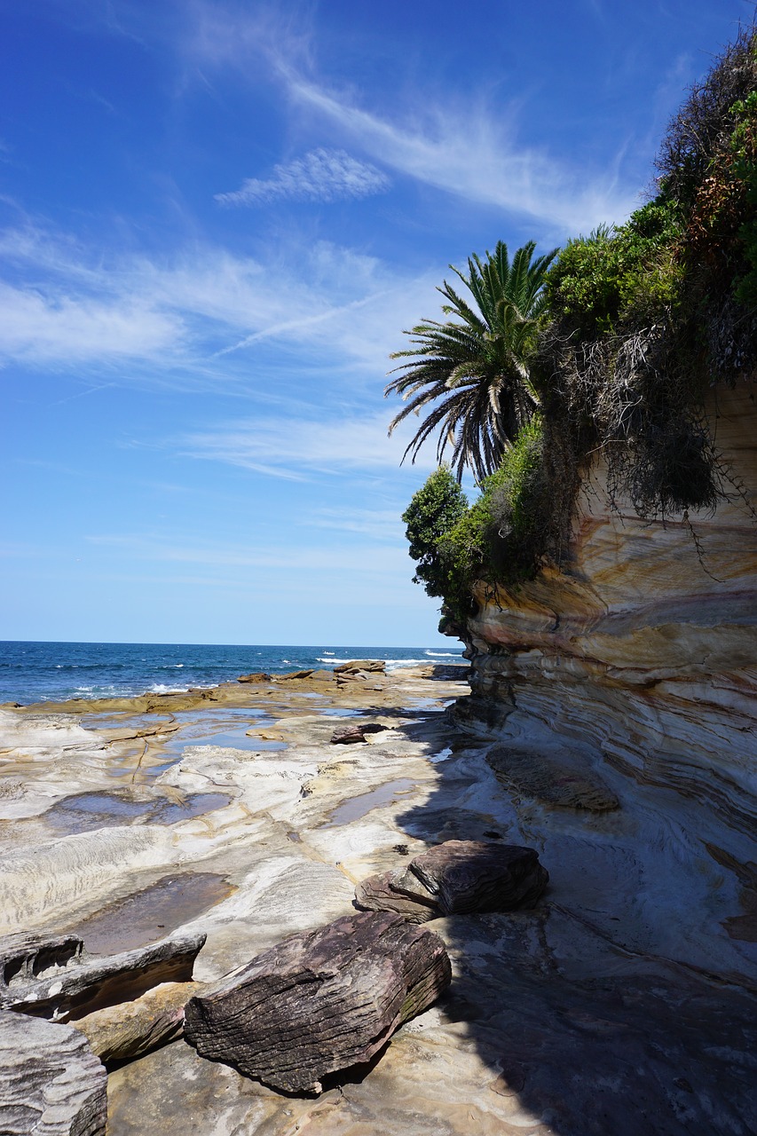 nature beach cronulla free photo