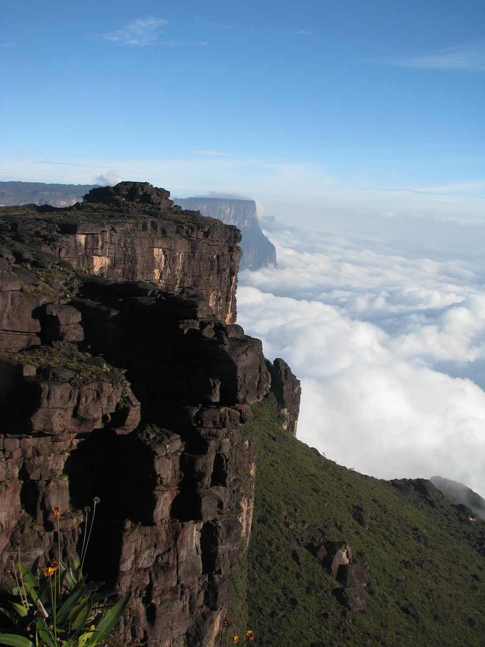 nature roraima canaima free photo