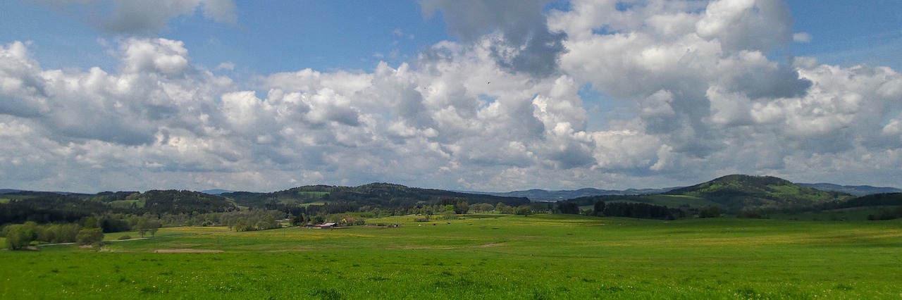 nature meadow valley free photo