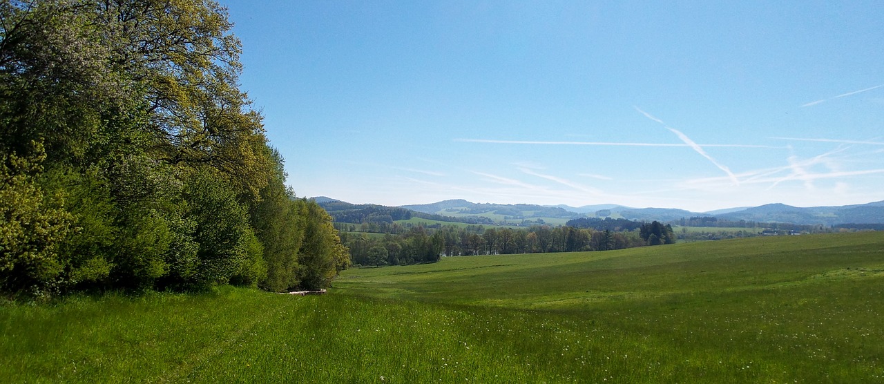 nature landscape meadow free photo