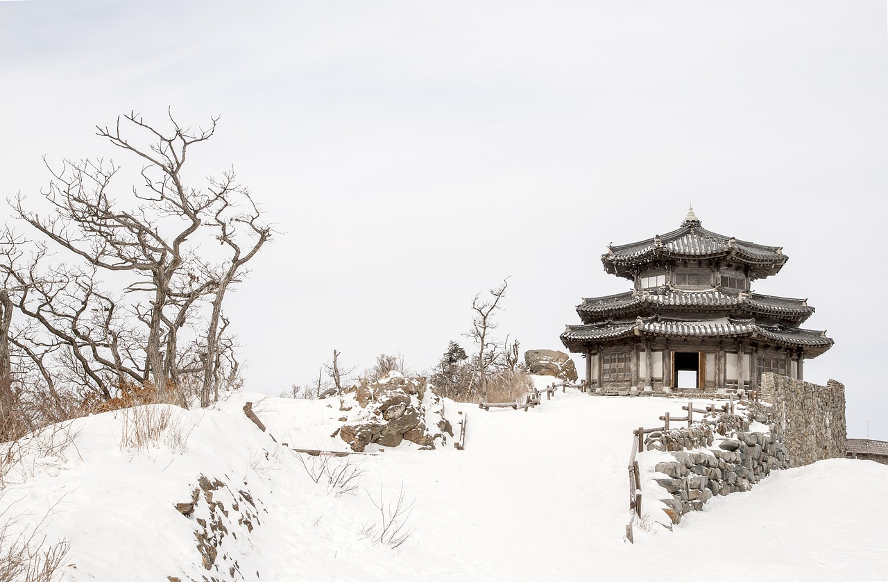 nature snow winter free photo