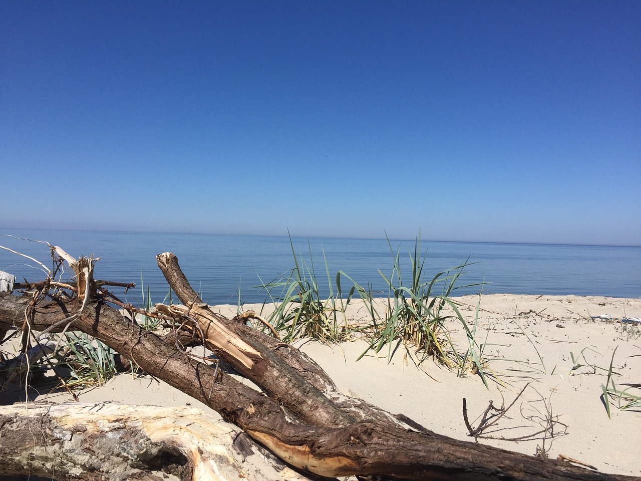 nature sand horizon free photo