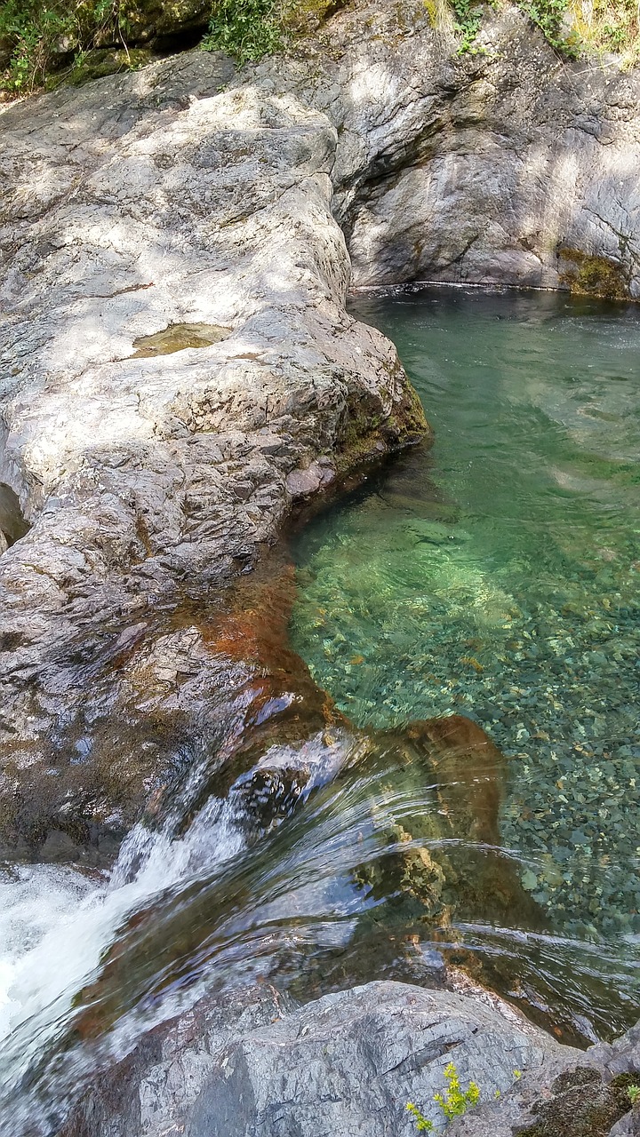 nature bulgaria eco trail - white river free photo