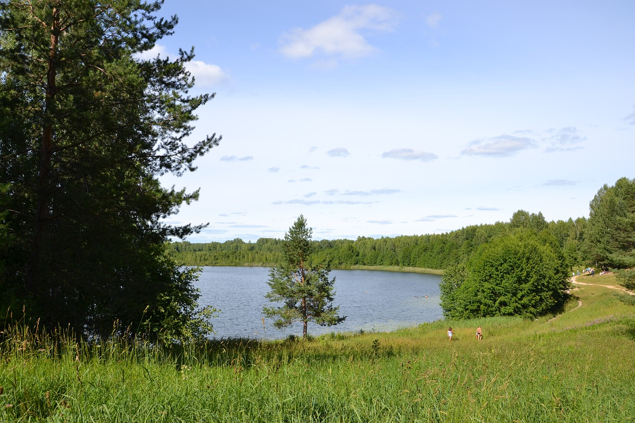 nature lake forest free photo