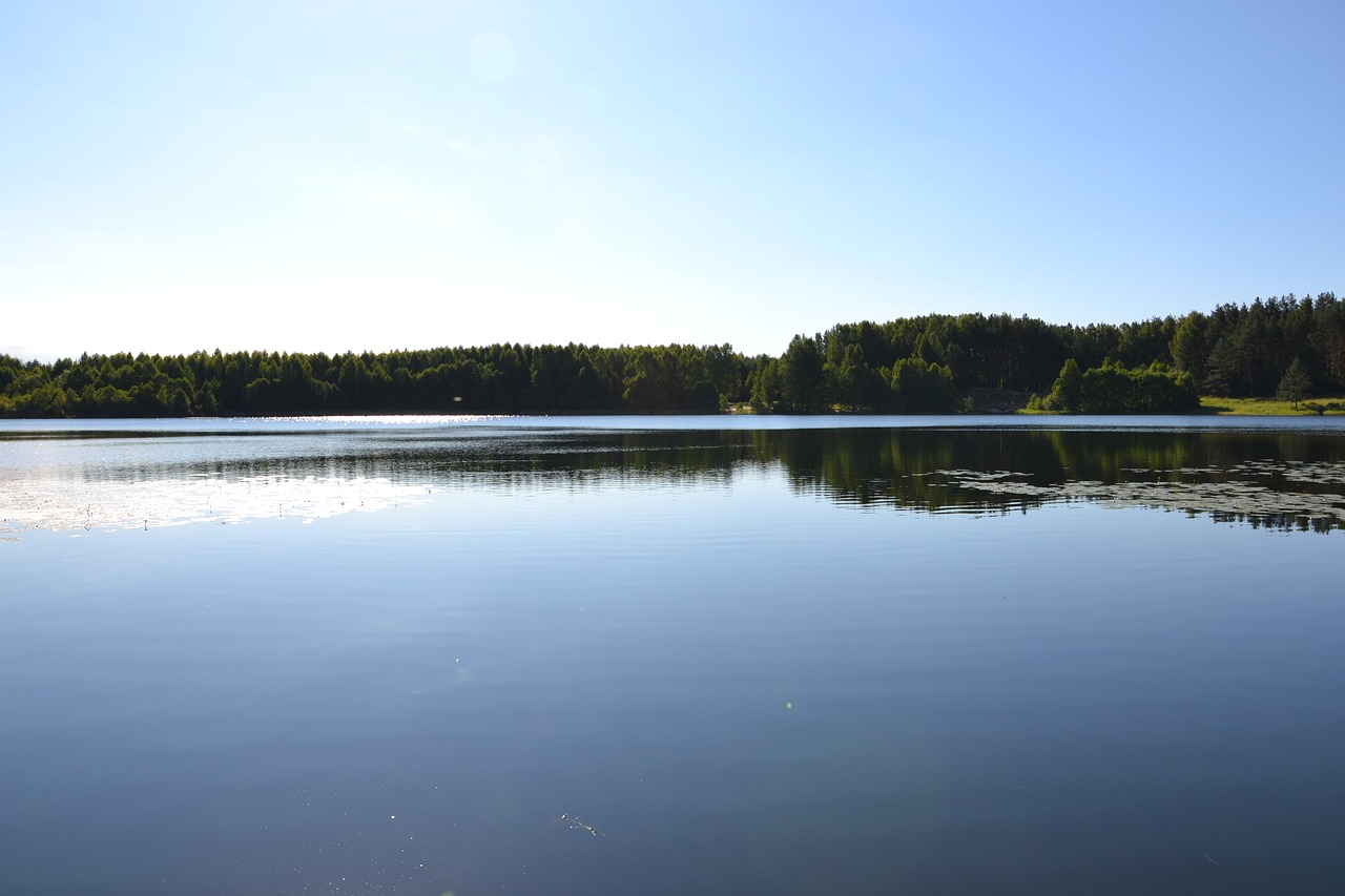 nature lake forest free photo