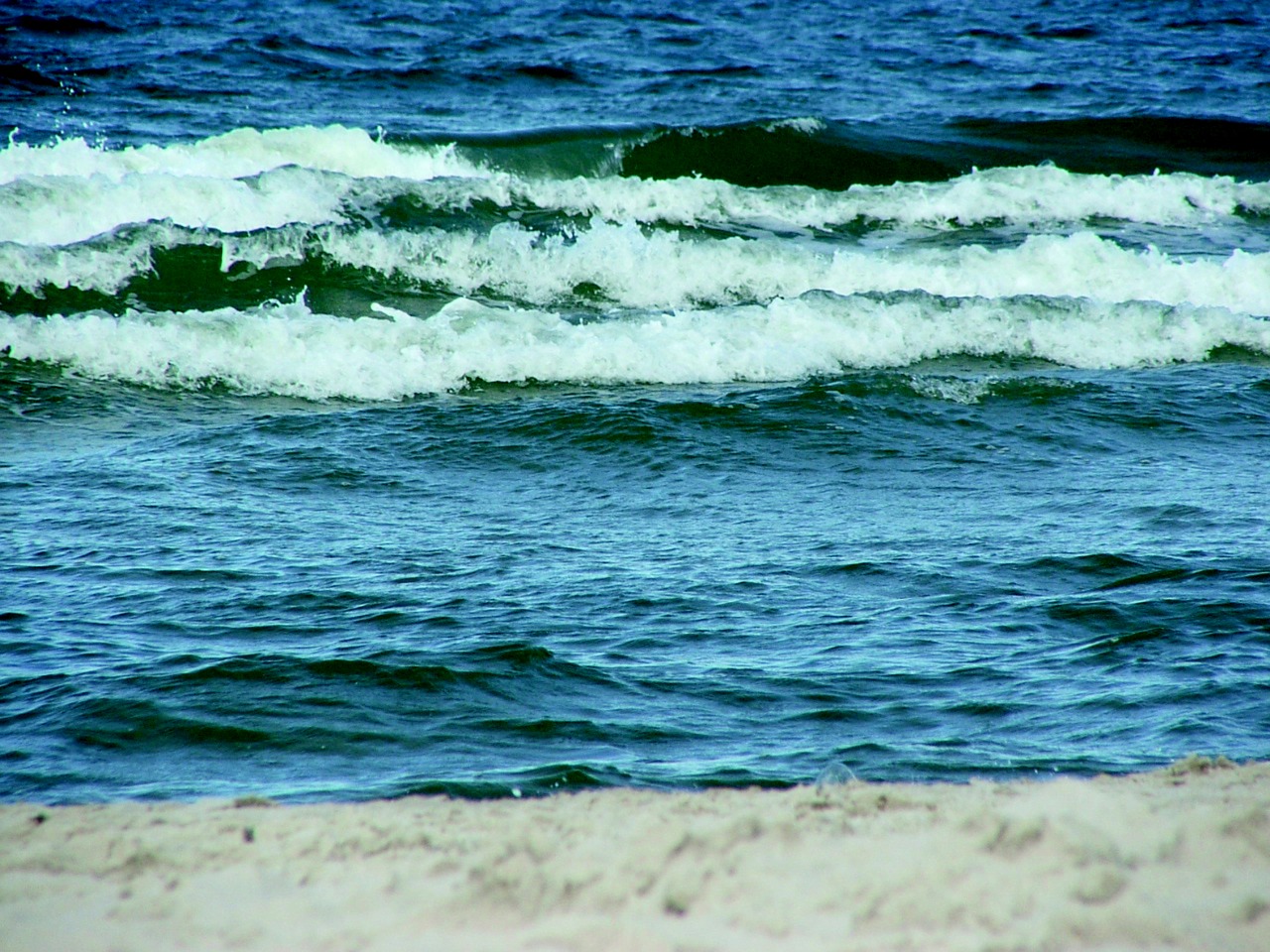 nature sea the waves free photo