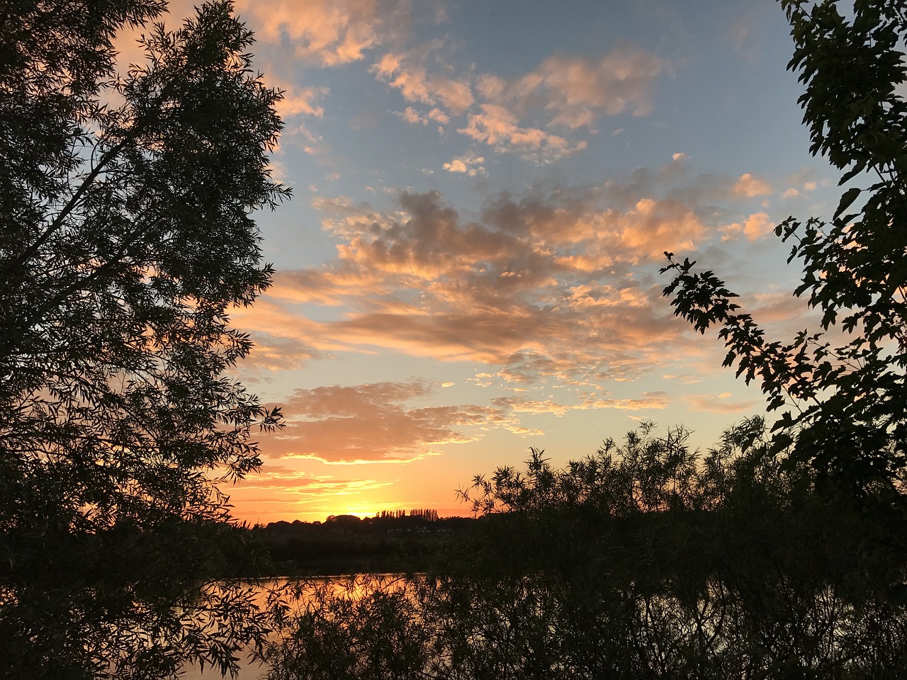 nature clouds trees free photo