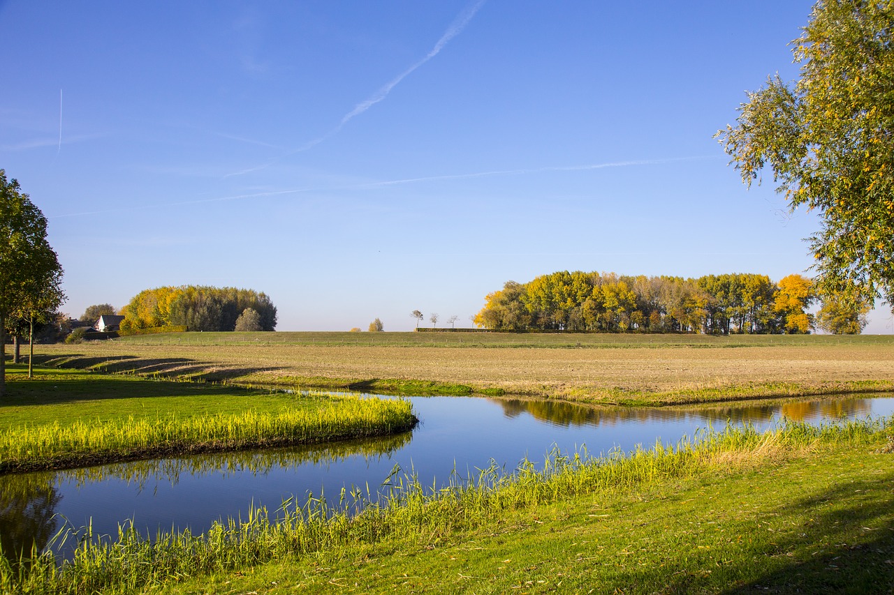 nature green ditch free photo