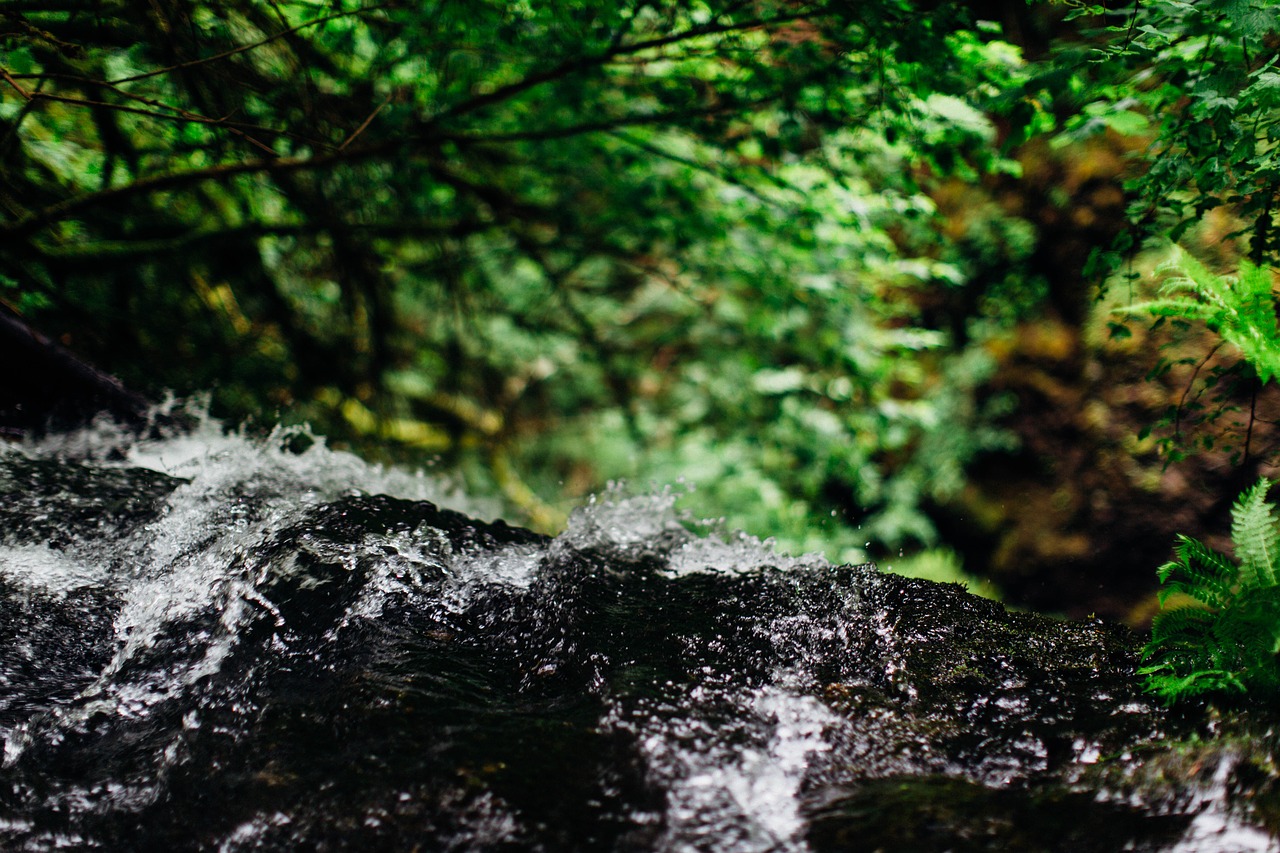 nature waterfall columbia gorge free photo