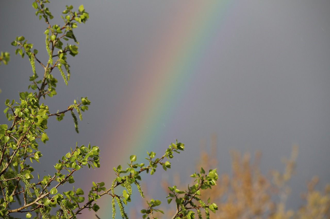 nature rainbow outside free photo