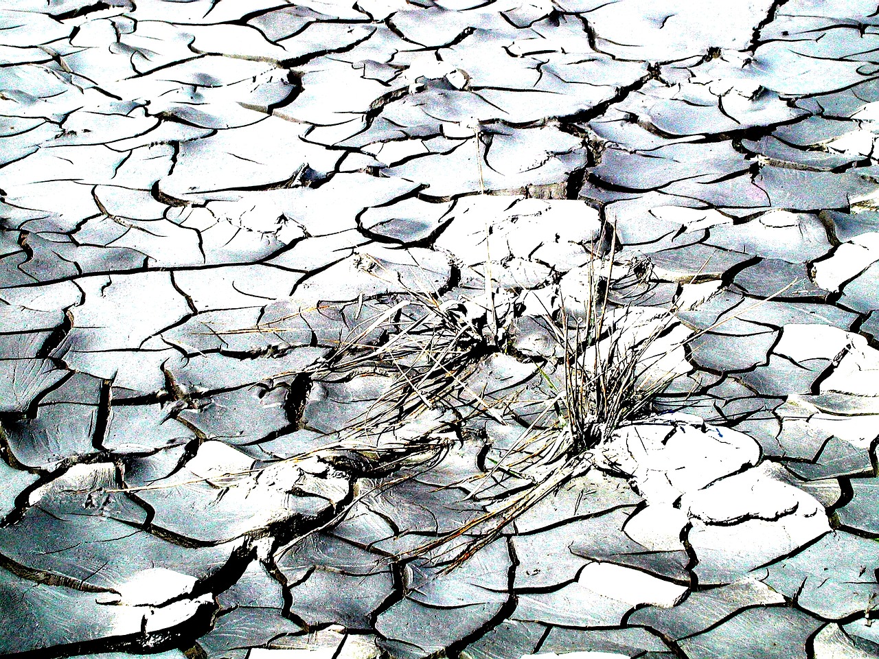 nature drought cracks free photo