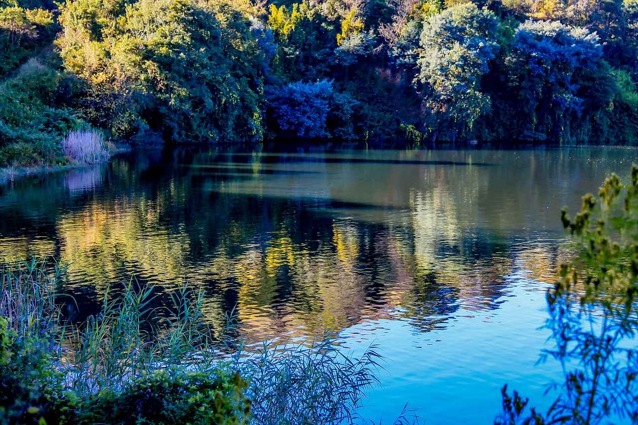 nature lake reflection free photo