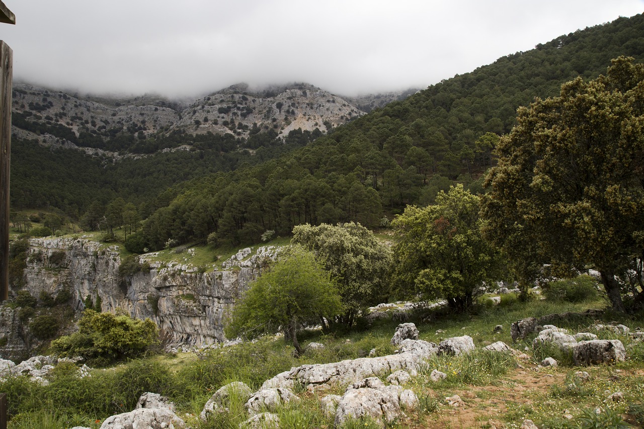 nature landscape clouds free photo