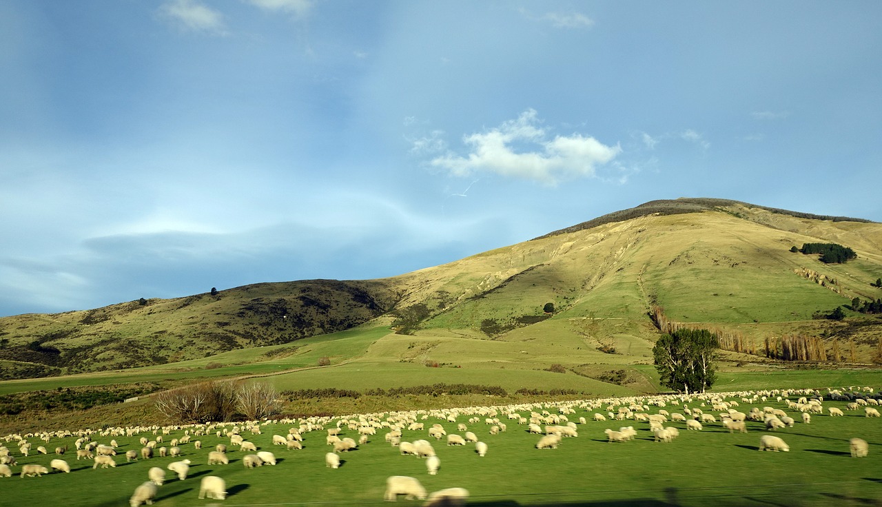 nature landscape sky free photo