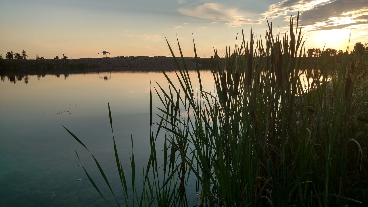 nature pond lake free photo