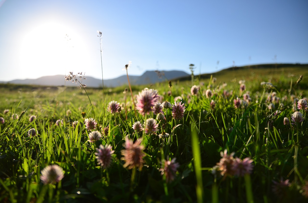 nature turkey landscape free photo