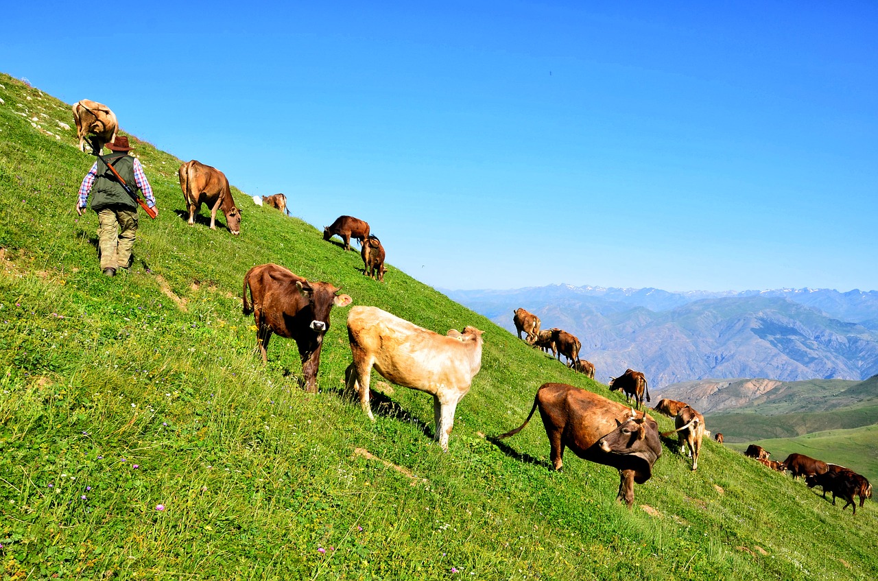 nature turkey landscape free photo