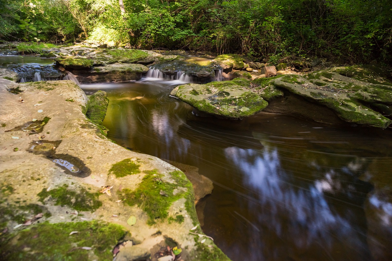 nature landscape background free photo