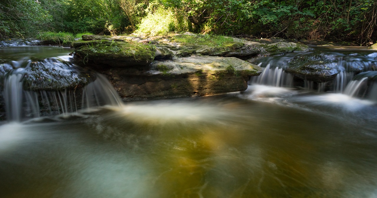 nature landscape background free photo