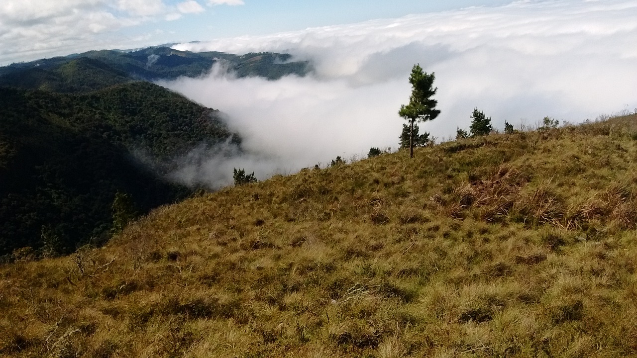 nature sky clouds free photo