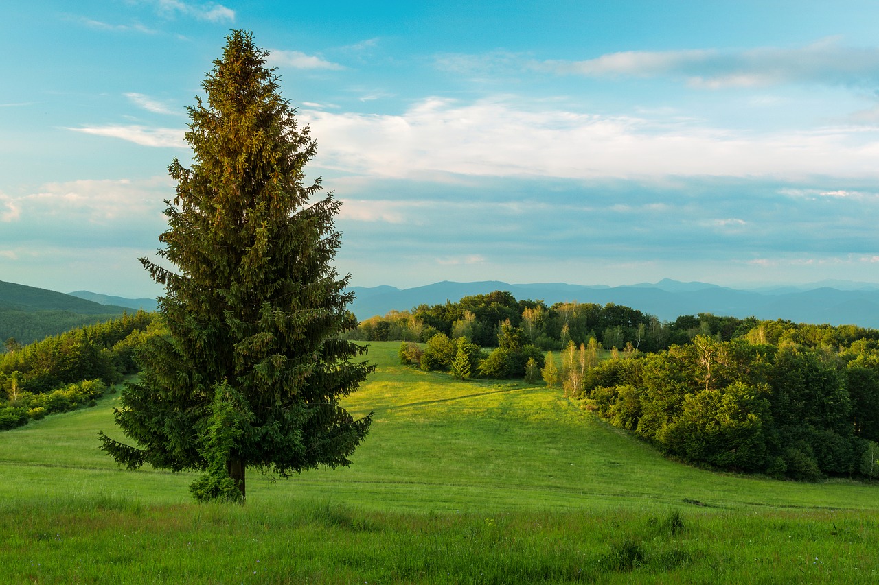 nature country mountains free photo