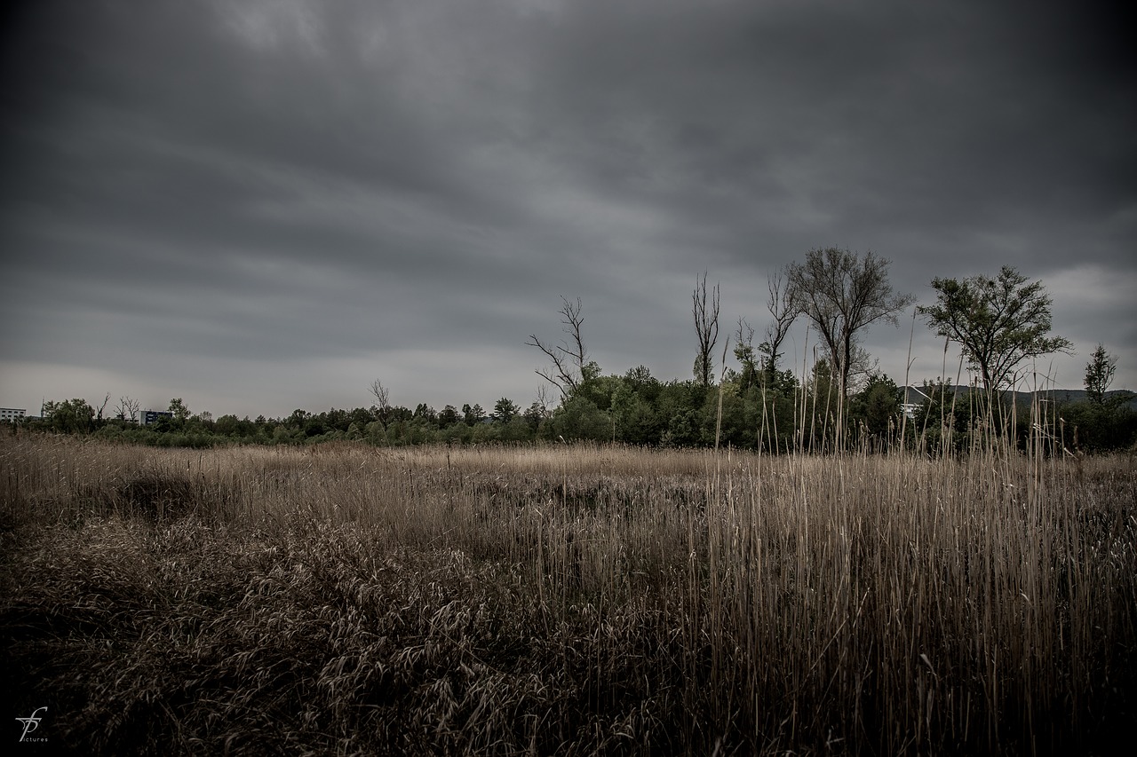 nature lake photography free photo