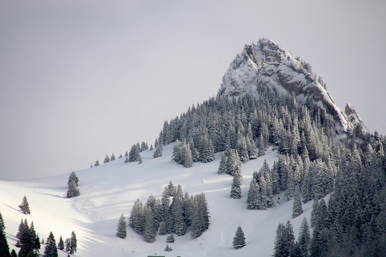 nature alps mountains free photo