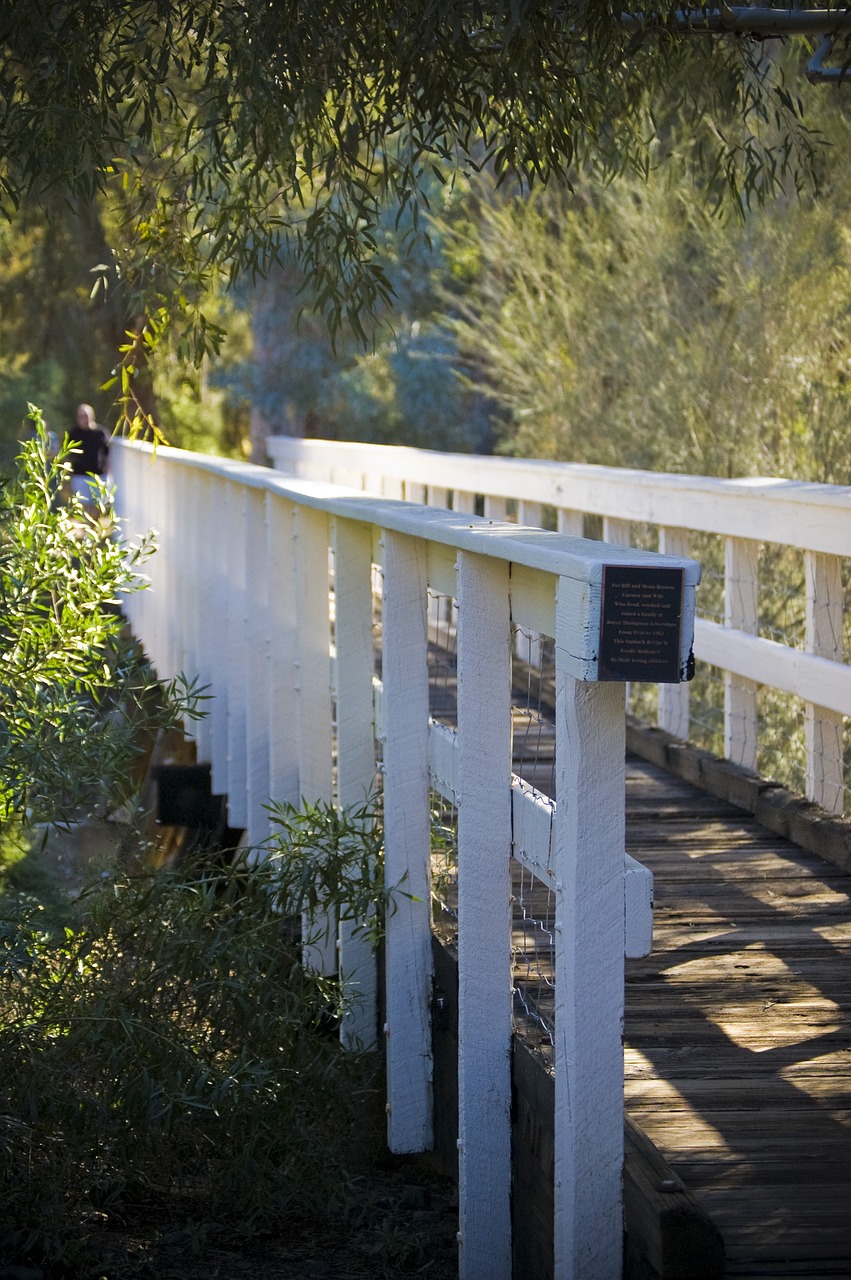 nature bridge quiet free photo