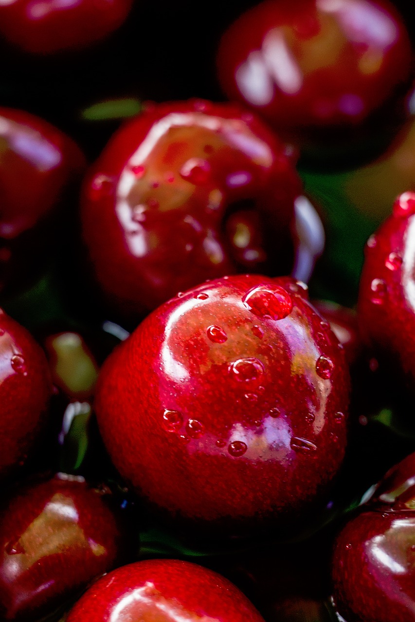 nature fruits apples free photo