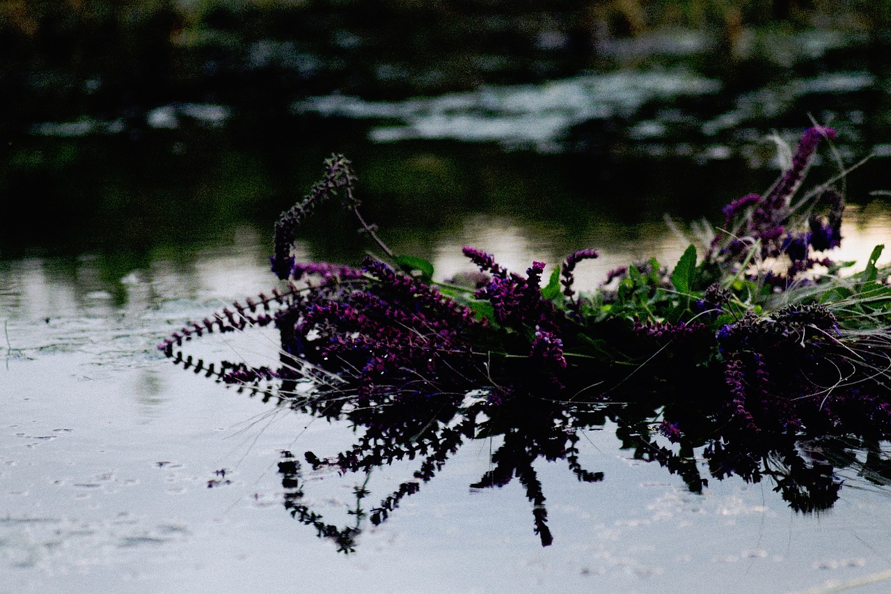 nature water flowers free photo