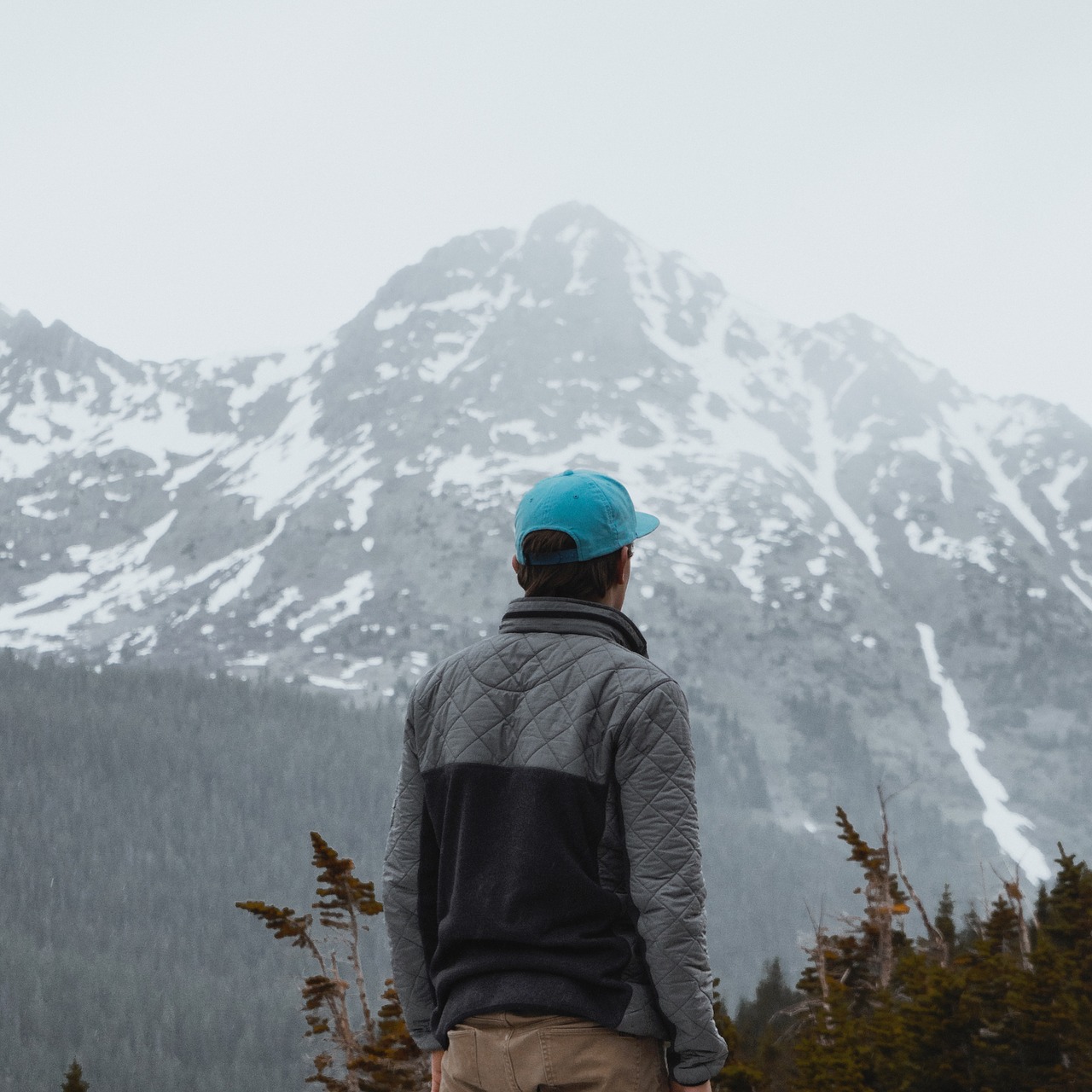 nature mountains snow free photo