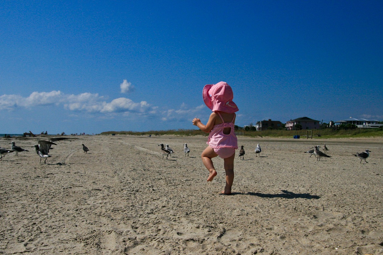 nature beach sand free photo