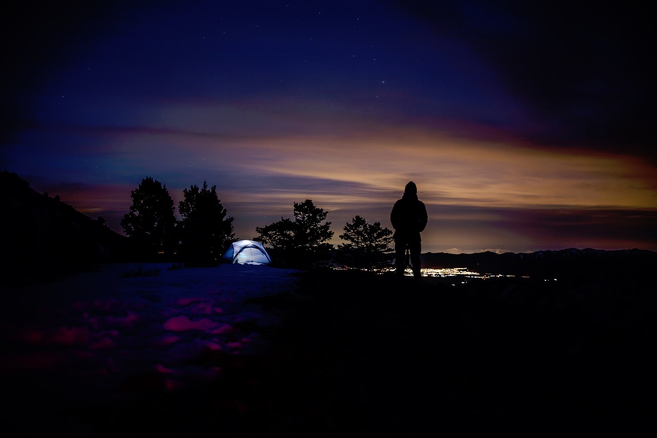 nature trees camping free photo