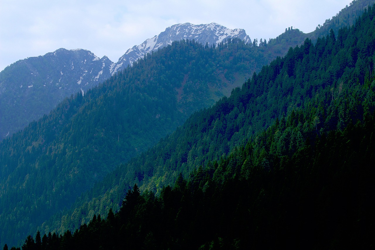 nature mountains trees free photo