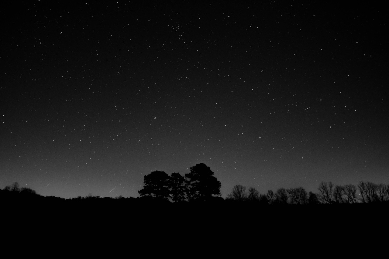 nature silhouette night free photo