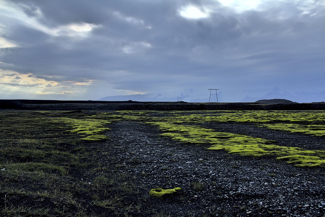 nature landscape field free photo