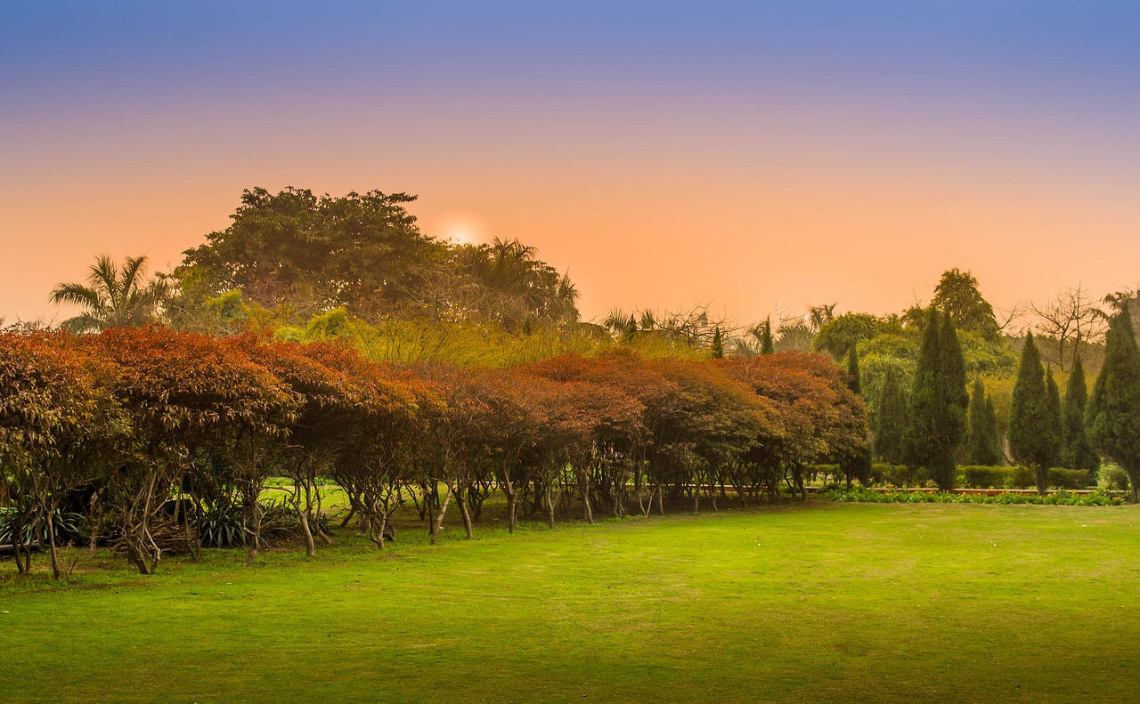 nature landscape green free photo