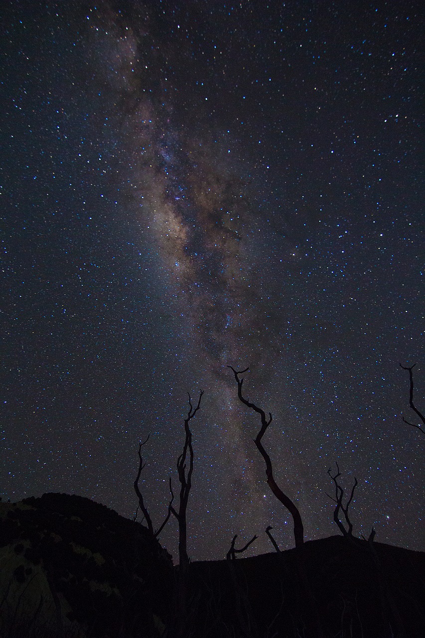 nature dark night free photo