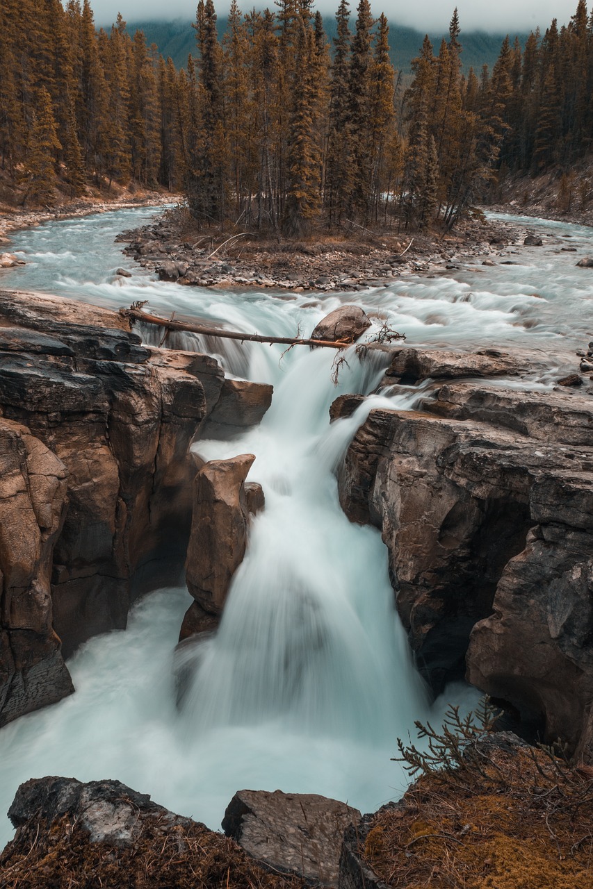 nature water river free photo