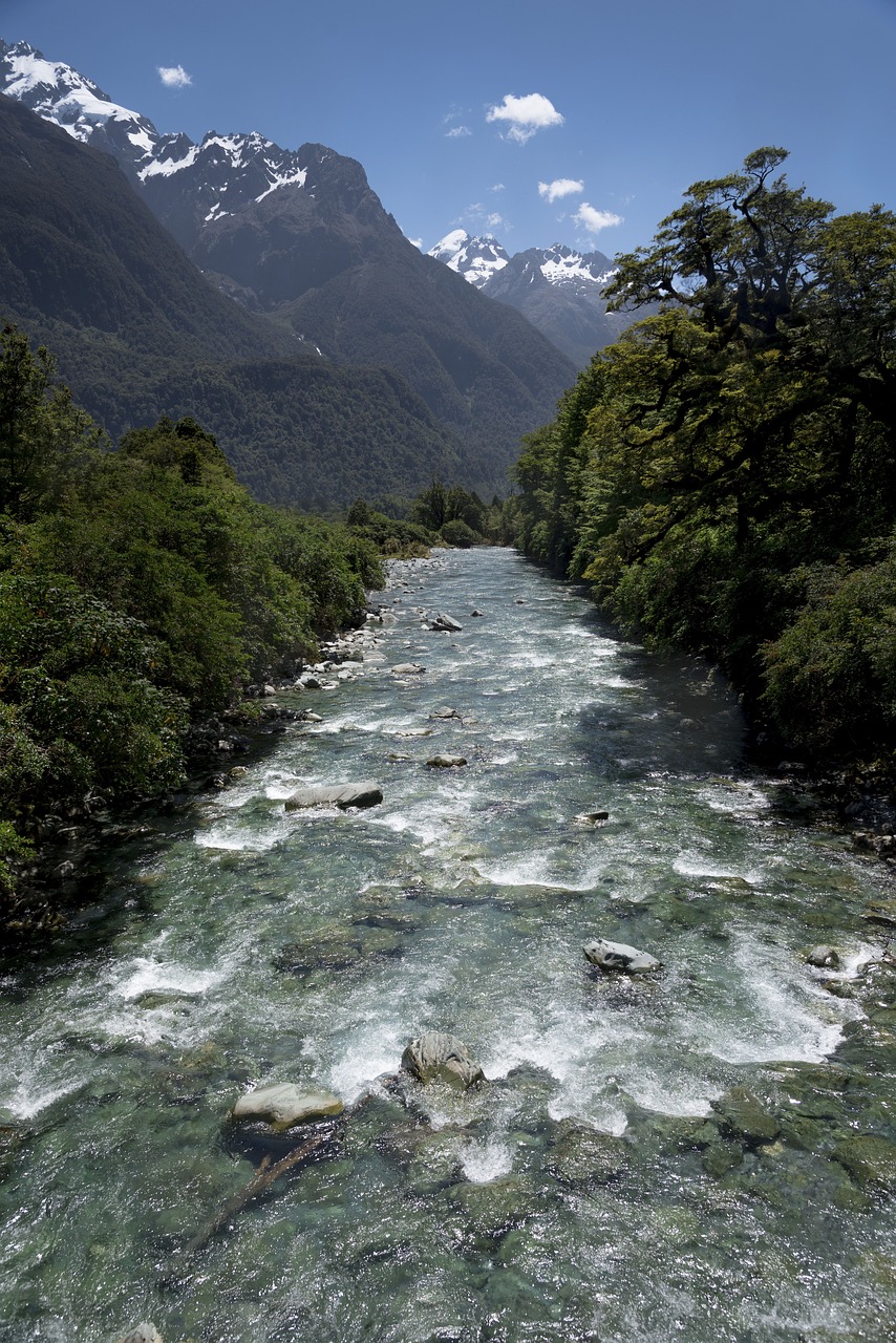 nature water river free photo