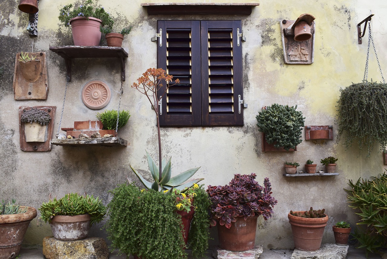 nature wall windows free photo