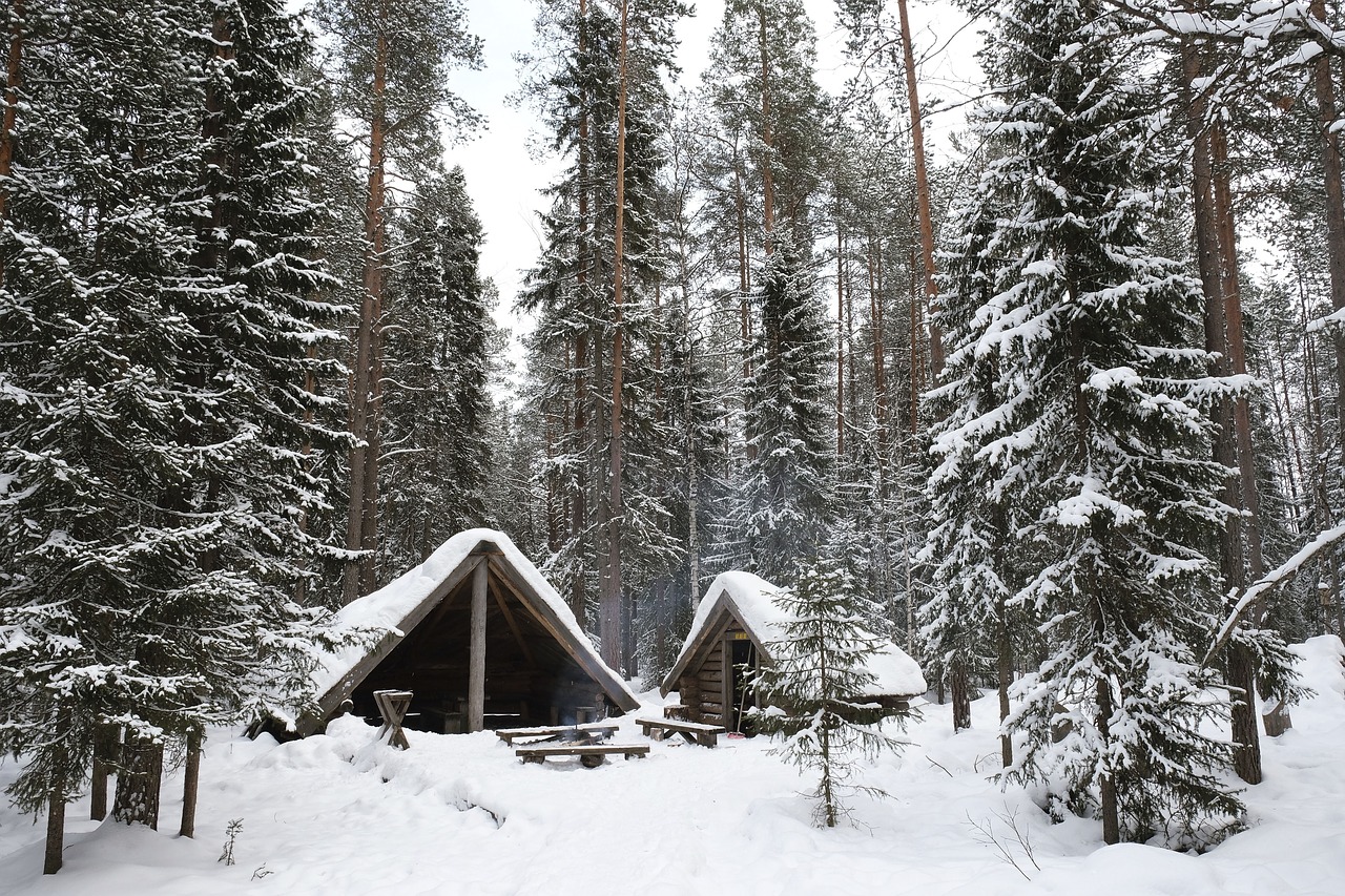 nature landscape snow free photo