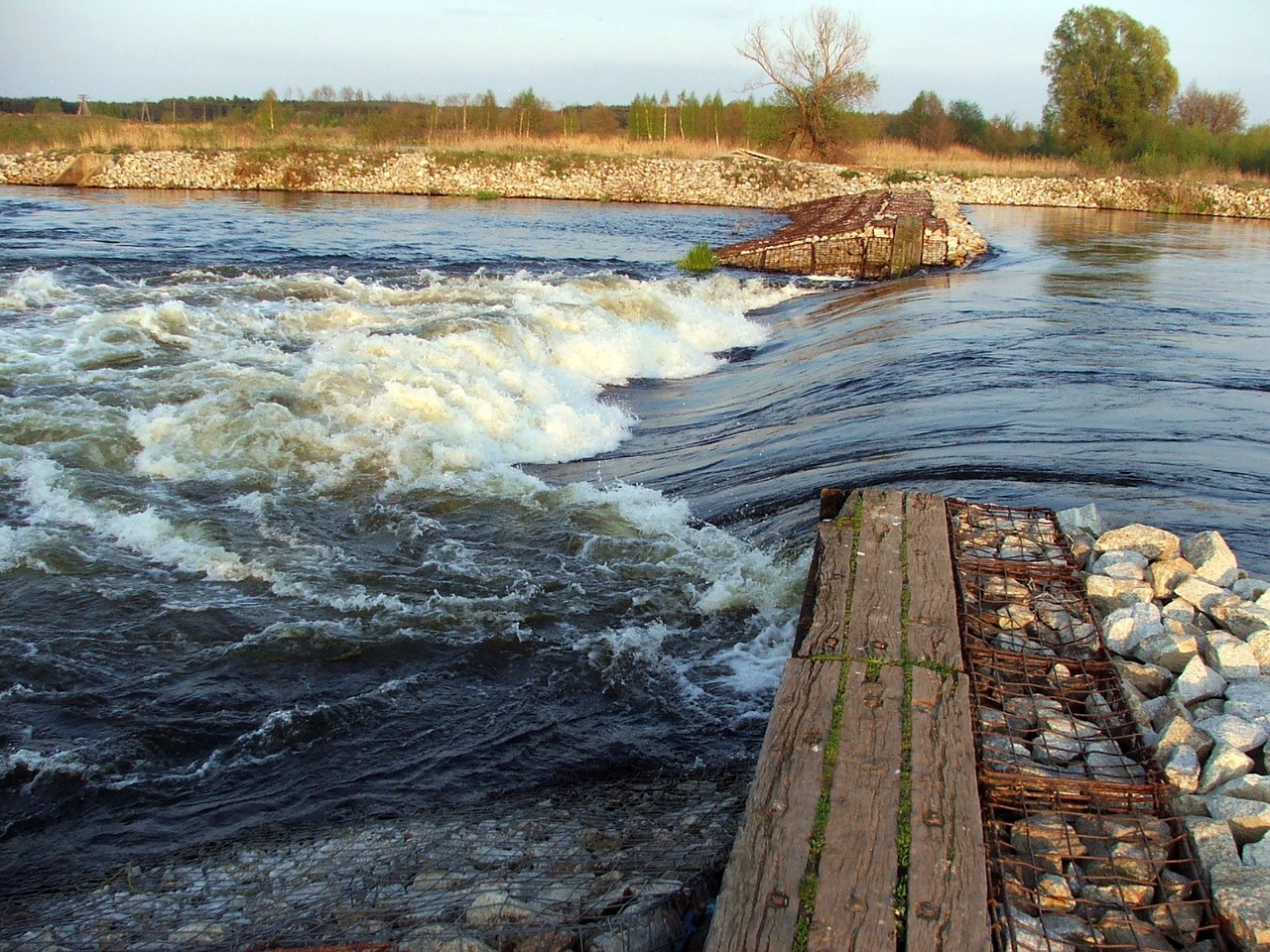 nature water river free photo